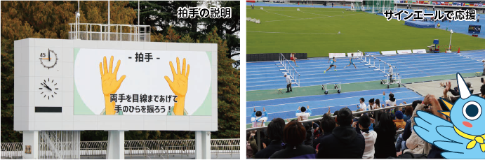 サインエールの説明